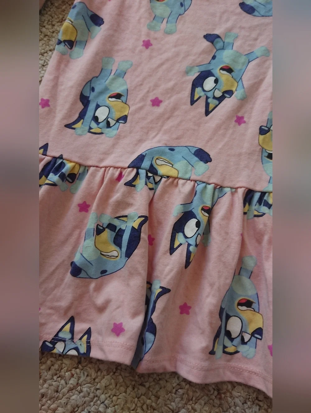 Bluey Toddler Girl Print Drop Waist Dress with Long Sleeves Size 3T